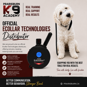 Off Leash Freedom Online Course - FREE Ecollar Included