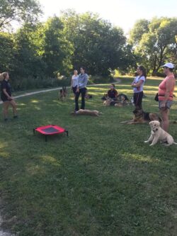 PrairieBurn K9 Academy ultimate shadow experience participants listening to Debbie in a middle of a park
