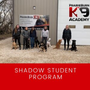 Shadow Student Program | 5 ladies standing in a line with Debbie McArthur with dogs around them | Prairieburn K9 Academy