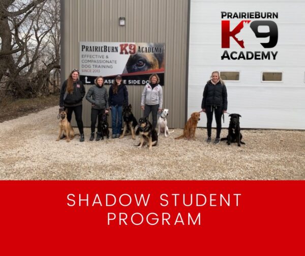 Shadow Student Program | 5 ladies standing in a line with Debbie McArthur with dogs around them | Prairieburn K9 Academy