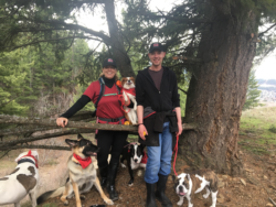 Debbie with a pack of dogs going through a day dog adventure in a middle of the woods, PrairieBurn K9 Academy