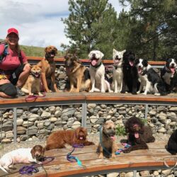 Debbie and a pack of dogs standing side by side as part of PrairieBurn K9 Academy's day adeventures and structured daycare