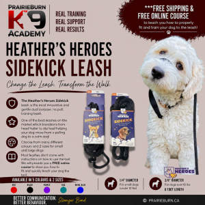 Heather's Heroes Sidekick