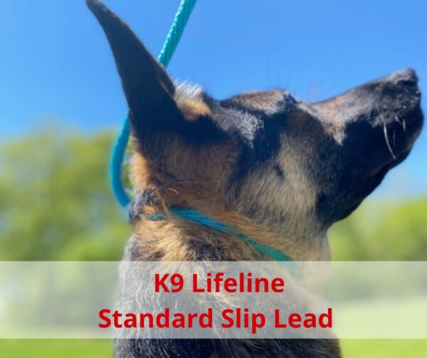 K9 Lifeline standard dog slip lead | German Sheperd wearing a blue slip | Prairieburn K9 Academy