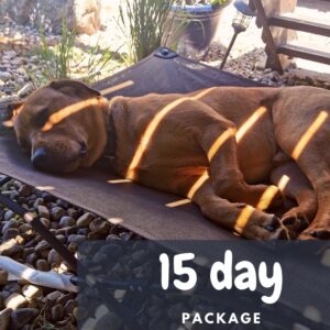 15 Day Boarding Package | Brown dog sleeping on a bed | Prairieburn K9 Academy
