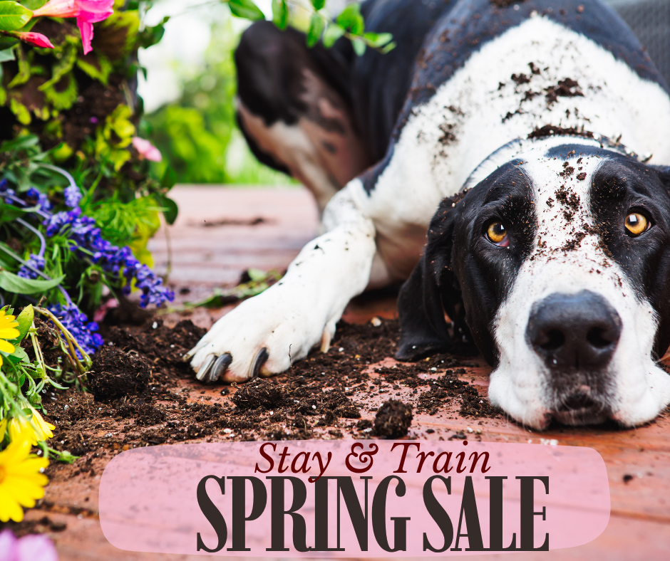 3 Day Stay & Train